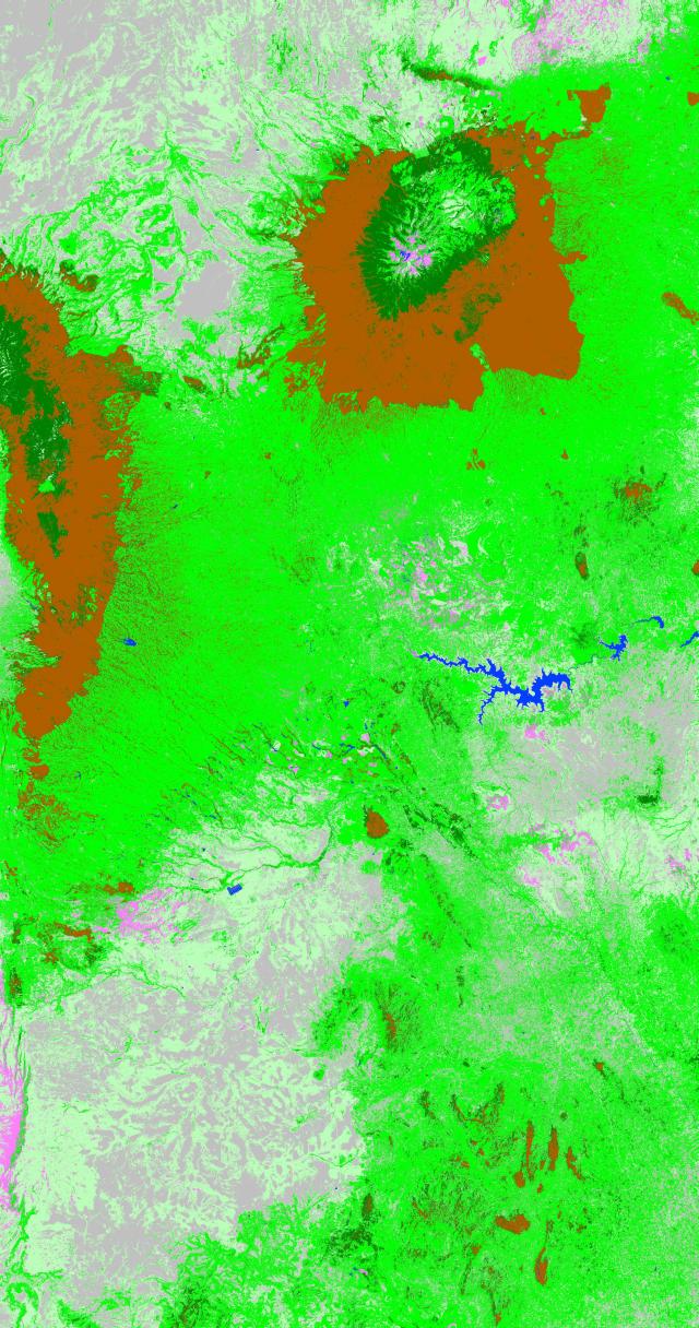 Satellite photos of Central Kenya showing vegetation cover