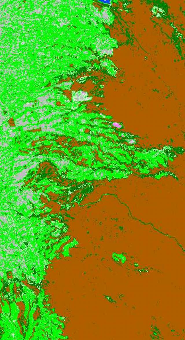 Change in forest cover 1987 2000 TOTAL