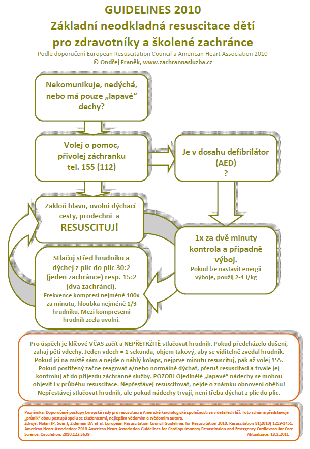 Obrázek 5 Základní neodkladná resuscitace