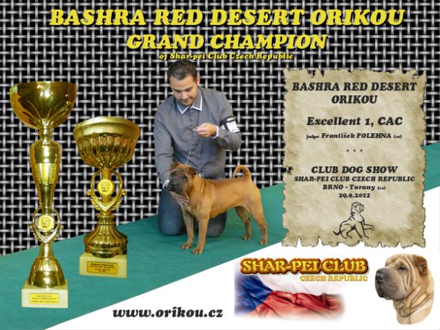 Články Klubová výstava na Slovensku Shar-pei klub Slovensko pod záštitou SKJ uspořádal dne 11. - 12.8.2012 KLUBOVOU VÝSTAVU & KLUBOVÉ DNY v areálu nádherného hotelu Polianka Krpáčovo.