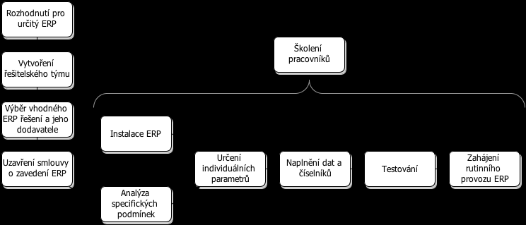 ERP systémy pro střední a malé podniky mají základní nabídku aplikačních modulů s omezenou funkcionalitou. Díky tomu se prodávají za nižší cenu, čímž se stále více stávají dostupné pro menší podniky.