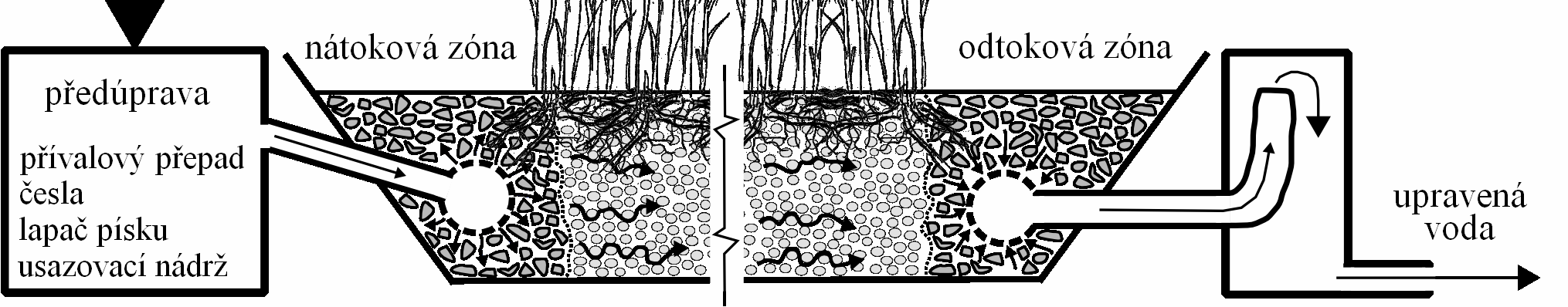 vegetační pole (rákosové pole) odpadní voda předúprava nátoková zóna odtoková zóna přívalový přepad česla lapač písku usazovací nádrž upravená voda Obr. 1.