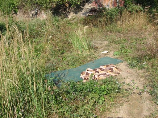 místa známá jako nocležiště bezdomovců (mosty, parky, příroda), stanice metra (zejména v centru města) a jejich okolí, vlaky metra (6 konečných stanic), večerní tramvaje (konečné a uzlové zastávky).