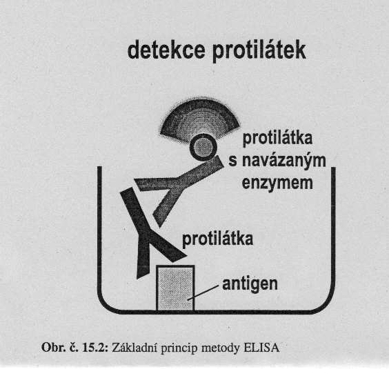 Plnění podmínek