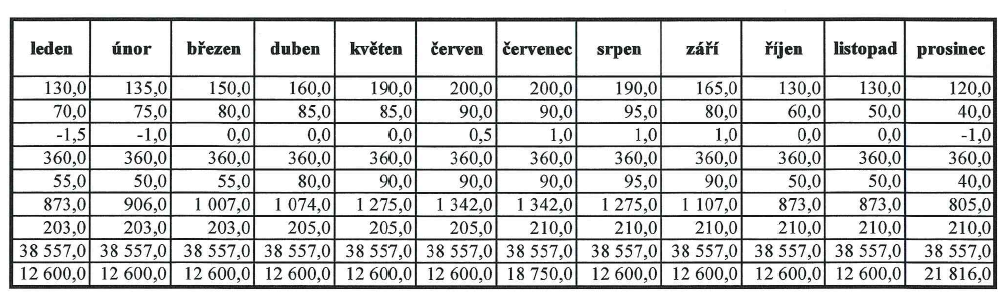 Na podkladě těchto hlavních parametrů a diskuzí s vedením společnosti vznikl krátkodobý finanční plán divize 7 pro rok 2010.