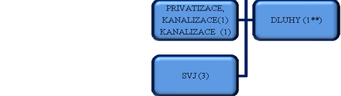 Organizační struktura společnosti k 31.12.2012 *od 16.8.