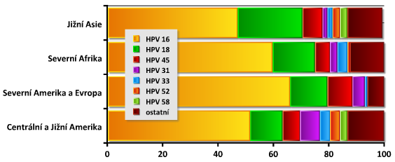 PŘÍLOHA P III: PREVALENCE VYSOCE RIZIKOVÝCH HPV