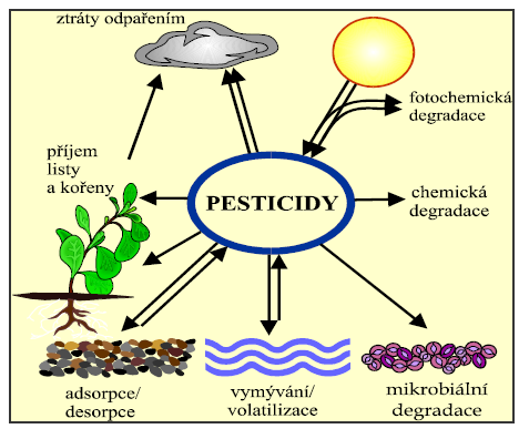Obr. 3: Osud pesticidů v prostředí (2). 2.6.7 Mechanismus účinků pesticidů To jak ovlivňují pesticidy cílové činitele, je dáno z velké části i chemickou povahou jednotlivých látek.