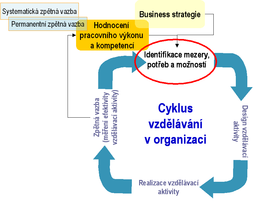 Rozvojový cyklus dnešních společností Individuální potřeby Potřeby organizace Pět základních zásad dobrého životopisu Soustřeďte se na to, co je podstatné Životopis musí být stručný, ve většině