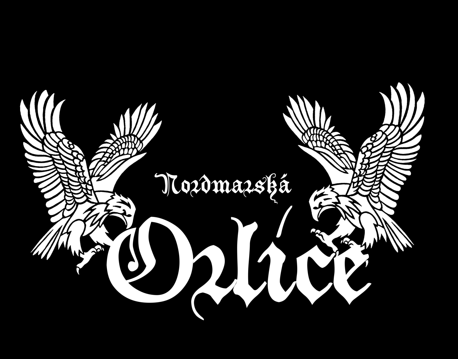 Vše o jeho pořádání, výsledcích a průběhu se můžete dočíst v článku od Vojty na straně 2/3. Rozhovor Další rozhovory, tentokrát s několika členy fóra, konkrétně s účastníky Zlatého Diega.