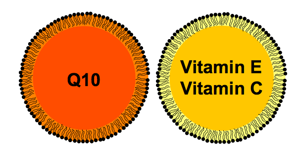 Kombinace coq10 + Vitaminy E,C ve formě nanoemulzí umoţňuje