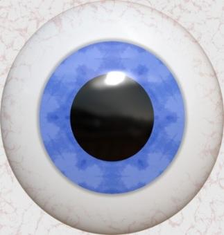 Přídatné oční orgány: spojivka slzná žláza
