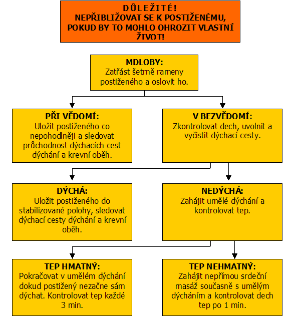 I. Zásady pro poskytnutí první pomoci po zásahu elektrickým proudem ÈES 00.02.