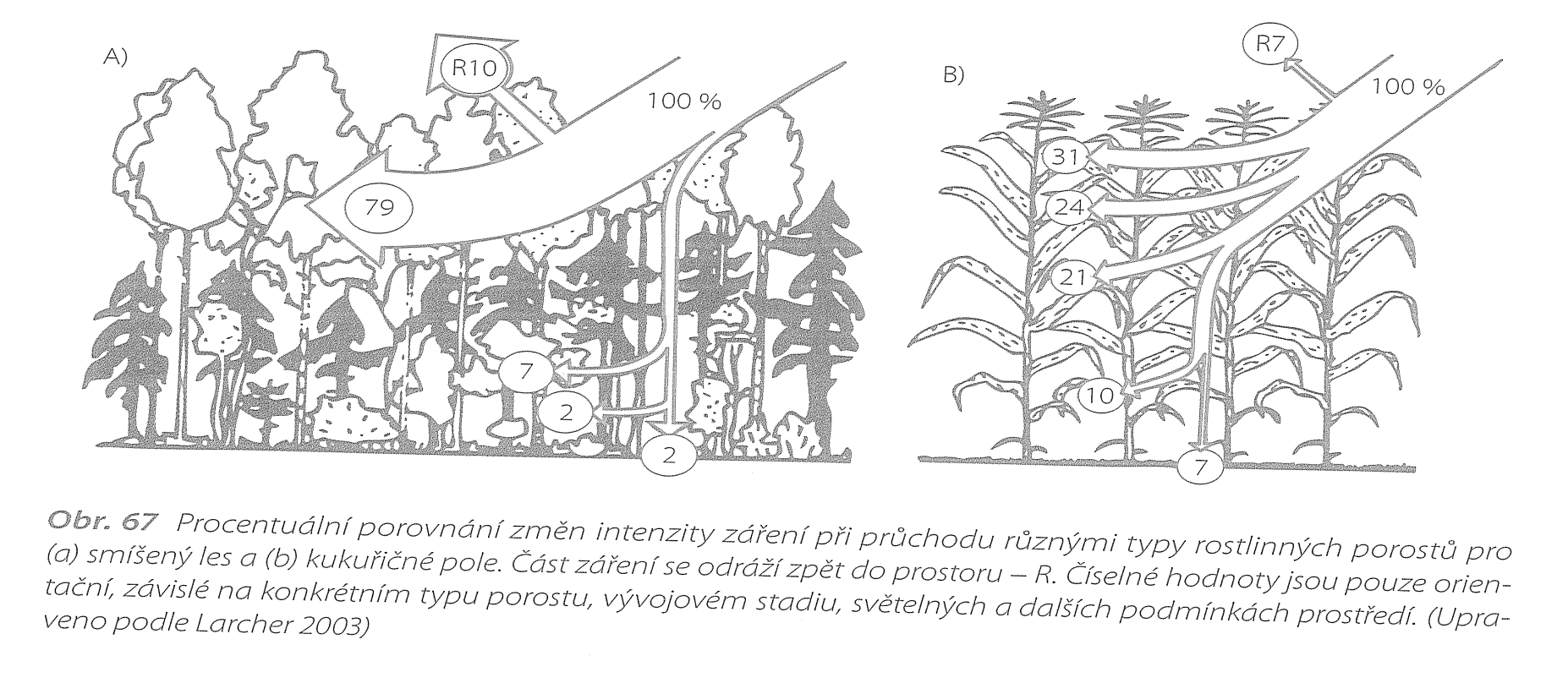 Nejdůležitější abiotické faktory světlo Z hodnoty solární konstanty (= 1,38 kw.