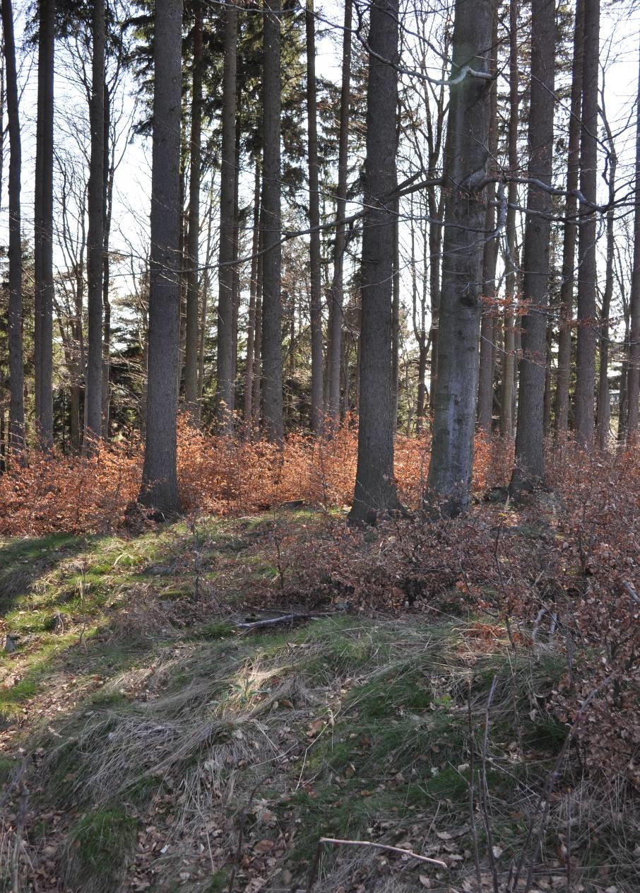 Česká lesnická společnost, pobočka Pro Silva Bohemica ve spolupráci s Lesy Belcredi, Jimramov