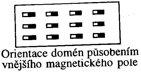 Magnetické pole V magnetické látce jsou oblasti o rozměrech řádově jednotek mikrometrů, ve kterých jsou spiny orientovány. Tyto oblasti se nazývají domény.