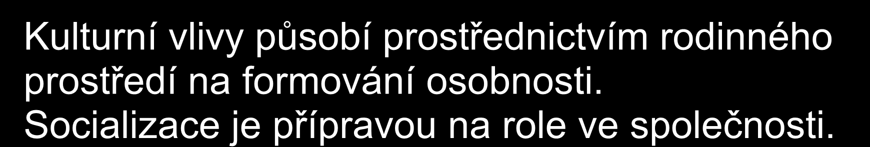 Primární socializace Odehrává se v období převážně rodinné výchovy, případně ve spojení s výchovou v mateřské škole (nebo její obdobě).