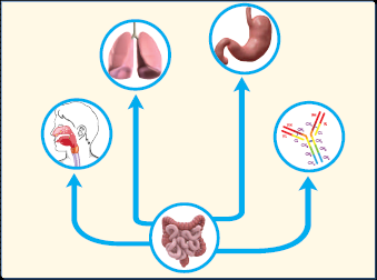 TŘI MECHANISMY ÚČINKU COLOSTRO NONI 1. STIMULACE IMUNITNÍHO SYSTÉMU SPOJENÉHO S MUKOZOU 2.