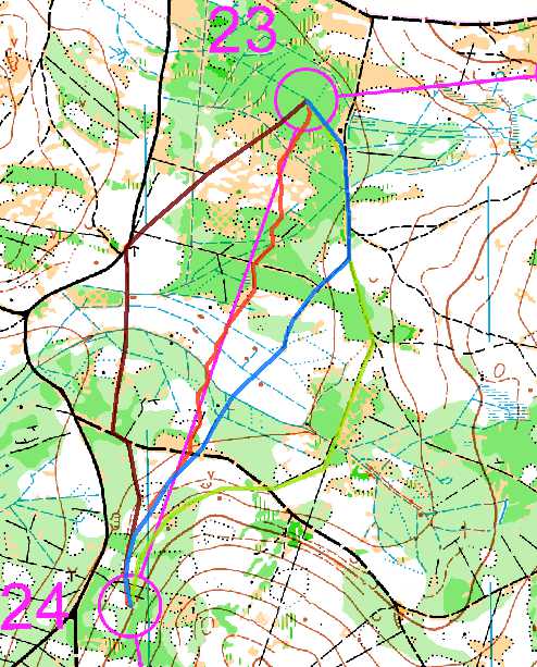 paseku. Čas je proto pomalejší něž u zelené varianty. Zkušení závodníci, by zde zřejmě volili překonání tohoto hustníku a paseky pomocí lesního průseku (viz zelená varianta).