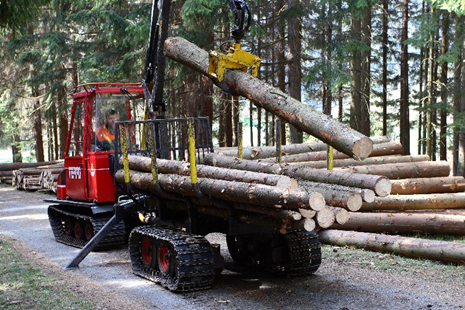 80 Ekonomická, ekologická a sociální specifika péèe o národní park Krkonošský národní park hospodaří na třech, respektive čtyřech lesních hospodářských celcích.