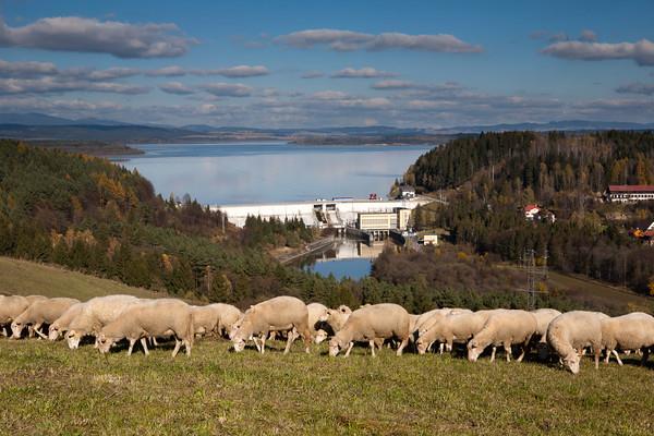 Vodní elektrárny 34 elektráren 2 399 MW Čierny Váh přečerpávací Instalovaný výkon: 735,16 MW Rok uvedení do provozu: 1981 Liptovská Mara