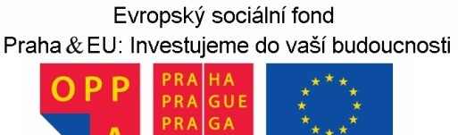 Potrubní rozvody Instalační sítě a rozvody v budovách Instalační sítě slouží k dopravě energie nebo odvádění odpadních látek.