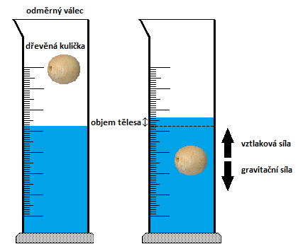 Obr. 14: Měření objemu tělesa pomocí odměrného válce. 3. Úkoly 1. Jelikož dřevo s nízkou hustotou ve vodě plave, je třeba jej pro změření jeho objemu udržet pod hadinou vody.