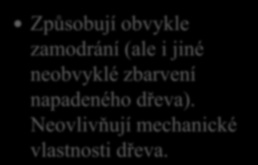 7. Jak konkrétně poškozují dřevo dřevozbarvující houby?