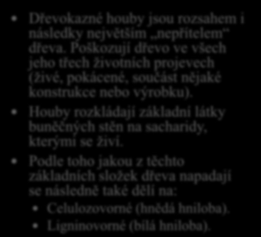 8. Jak poškozují dřevo dřevokazné houby. Dřevokazné houby jsou rozsahem i následky největším nepřítelem dřeva.