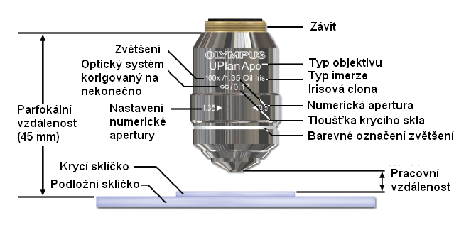 ČÁST OPTICKÁ Objektivy - Nejdůležitější optická součást mikroskopu Vytváří zvětšený převrácený a