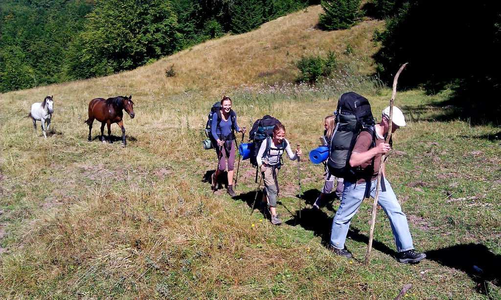 Hlavní poslání DU DU pracuje na celostátní úrovni, pořádá kurzy pro vedoucí a celostátní akce pro dorostence na místní úrovni působí dorostové skupiny, pracující při jednotlivých sborech.