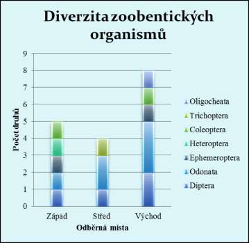 Zoobentos Výsledky z roku 2010 Běžně se