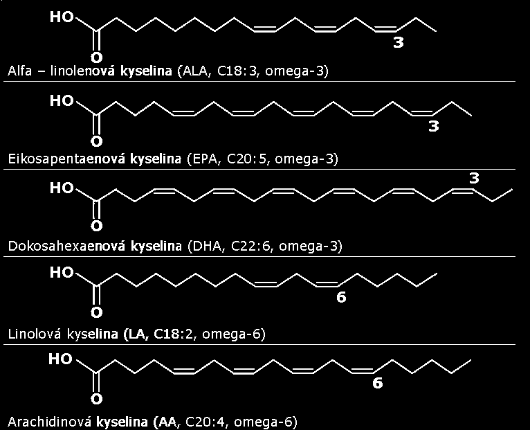 polyenové MK izolované dvojné vazby cis isomery MK řady n-6 linolová kyselina (LA) g-linolenová kyselina (GLA)