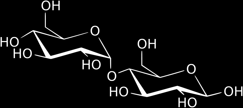 Maltóza Sladový cukr Vzniká ze škrobů působením enzymů v klíčících