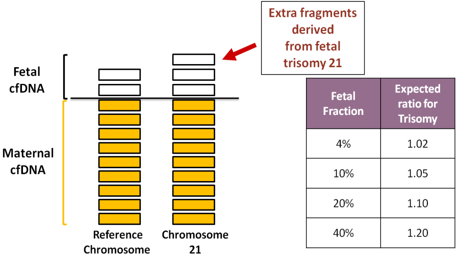 cell-free DNA (mimobuněčné DNA). - Cell-free DNA (cfdna) má charakter krátkých DNA fragmentů.