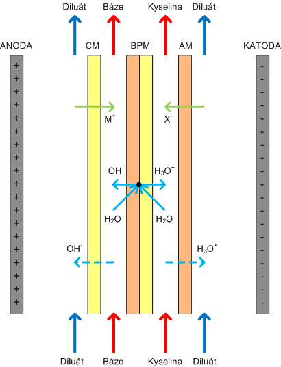 Elektrodialýza s bipolární membránou Hnací síla: elektrické pole Membrány: kation a anion výměnné, bipolární Diluát odsolován, do kyselinové komory proudí anionty, do bazické