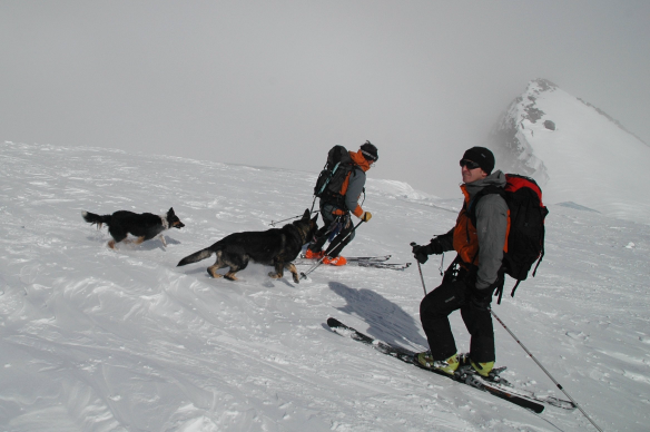 Ten jsme si ještě v samotném závěru zpestřili průjezdem ledovcovou jeskyní. V dalších dnech jsme se přemístili do Chamonix.