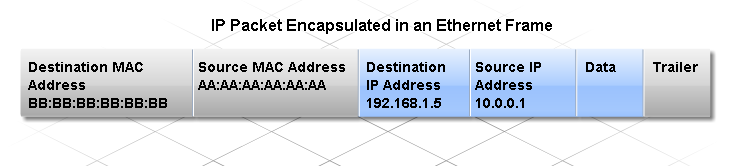 Protokol ARP (Address Resolution Protokol) zjišťuje MAC k zadaným logickým IP