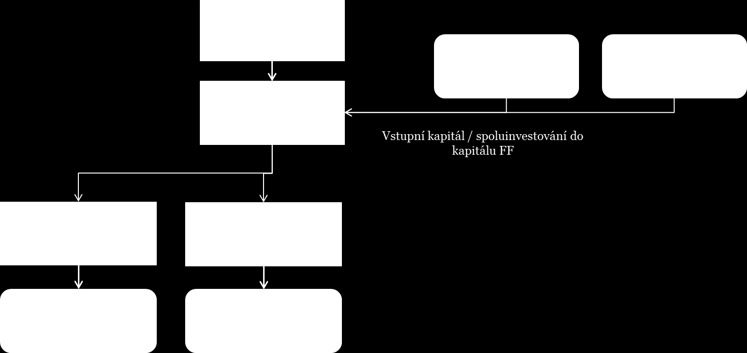 Správce finančního nástroje, příp. finanční zprostředkovatel tyto prostředky dále poskytuje na základě Smlouvy konečným příjemcům.