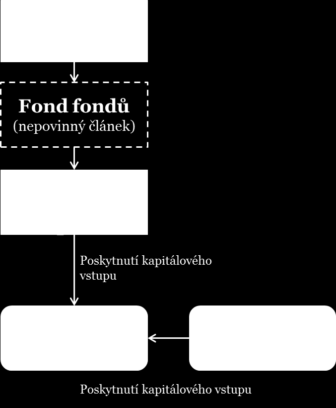 Všeobecně lze považovat pro FN kapitálových investic za nejvhodnější strukturu fondu fondů (FF), při které veřejný investor (prostřednictvím takového FF) investuje spolu se soukromými investory do