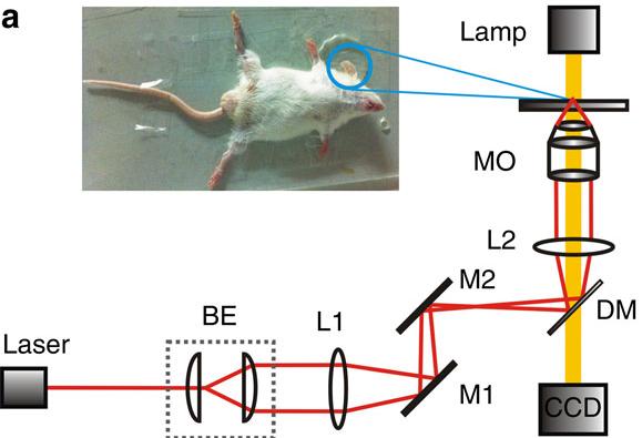 Piezoelektrické zrcátko Čočka LASER