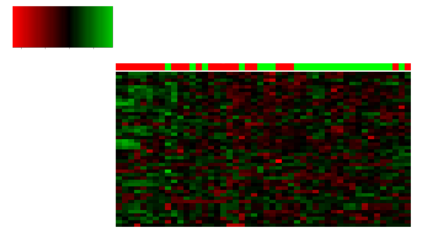 HIEARARCHICAL CLUSTERING OF DIFFERENTIALLY EXPRESSED GENES IN ASTHMATIC (red) AND HEALTHY (green) CHILDREN SAMPLES Color Key -4-2 -0-2 Row Z-Score SMOX HBQ1 HOXB2 FBN2 C5orf4 MARCH2 SMOX ITGA2B LIMS