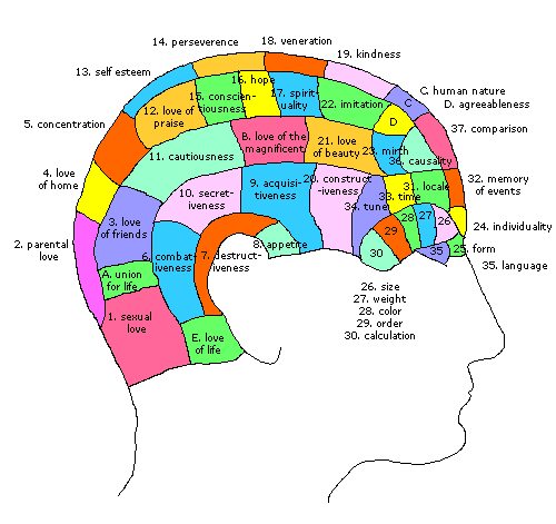 , Broca, Wernicke, Gall - frenologie... Co to je frenologie? Tvar lebky určuje osobnost a inteligenci Je pravda?