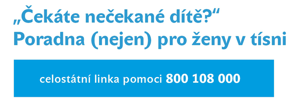 Ukázka naší práce Paní Klára byla dva roky na Úřadu práce a zároveň pracovala jen brigádně na DPP.