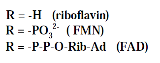 Vitamin B2 (riboflavin) Základem je isoalloxazinové jádro (pterin s dvěma