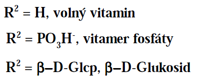 Vitamin B6 (pyridoxin) Vázaný v