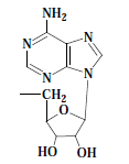 Korinoidy (vitamin B12)