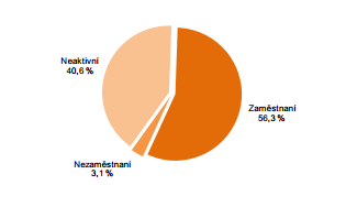 UTB ve Zlíně, Fakulta managementu a ekonomiky 50 Struktura populace podle ekonomické aktivity je silně ovlivněna demografickou strukturou (zejména počty osob v důchodovém věku) a dále ekonomickým