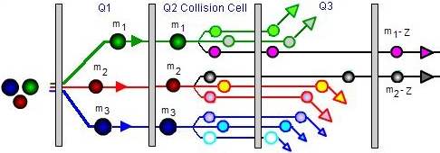 LC/MS/MS: Constant Neutral Loss Q1:TIC (m/z 1 m/z 2 ) Q2: fragmentace všech iontu Q3: TIC ((m/z 1 - DN) (m/z 2 -DN)) detekce; DN rozdíl hmotností iontů hmotnost odpadající neutrální částice z iontu