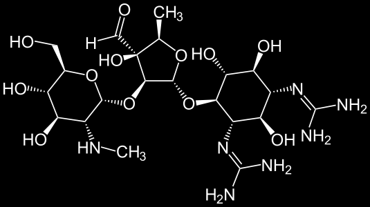 3) Aminoglykosidy - streptomycin